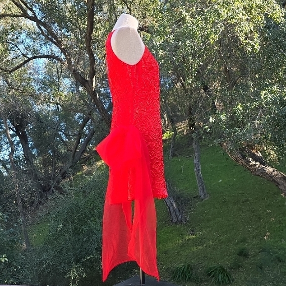 NWOT FOR LOVE AND LEMONS FROSTED ORGANZA MINI DRESS IN RED #2 SIZE S - Picture 4 of 8